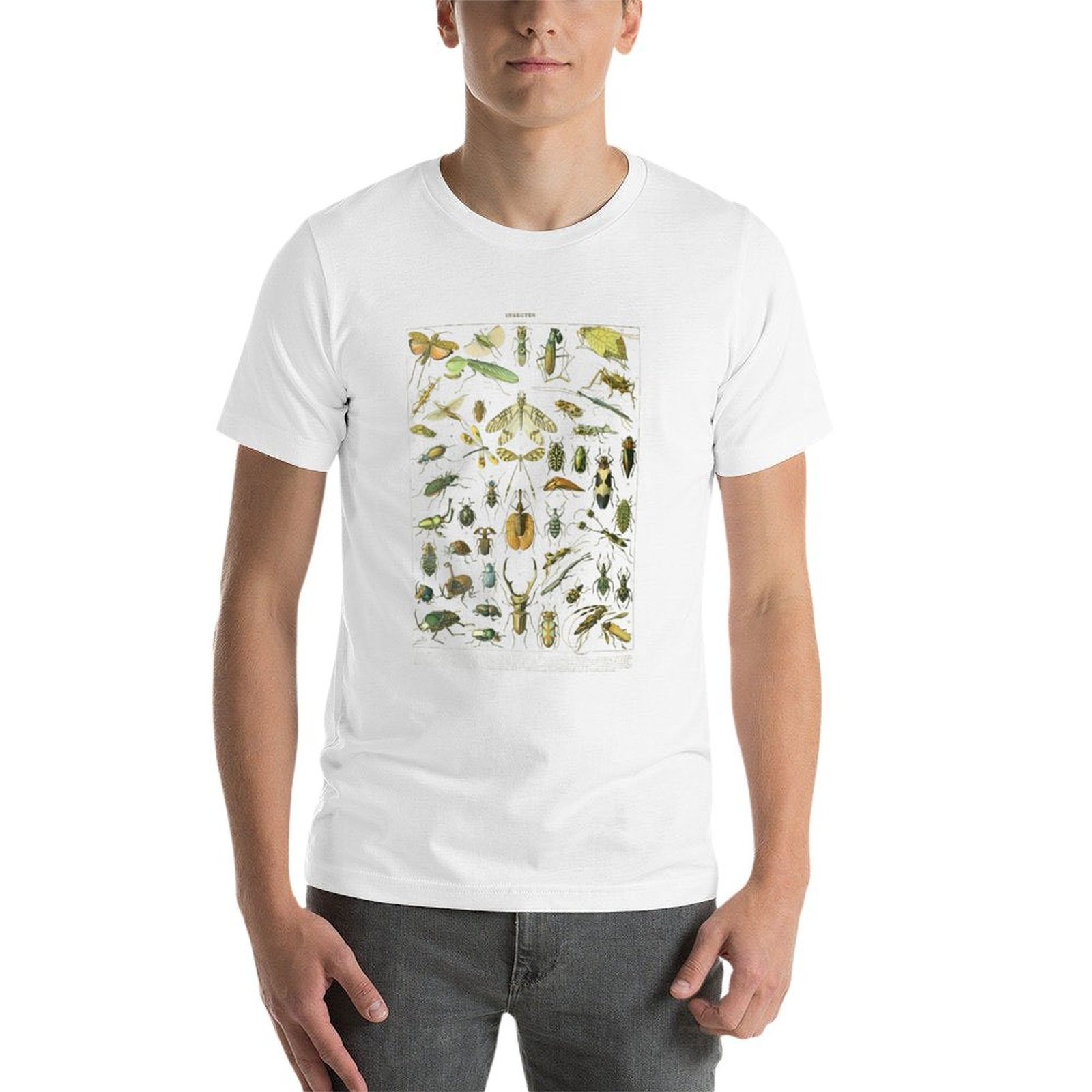 Kaos Koleksi Serangga Vintage  - Collectible Vintage T Shirts ulasan dan harga